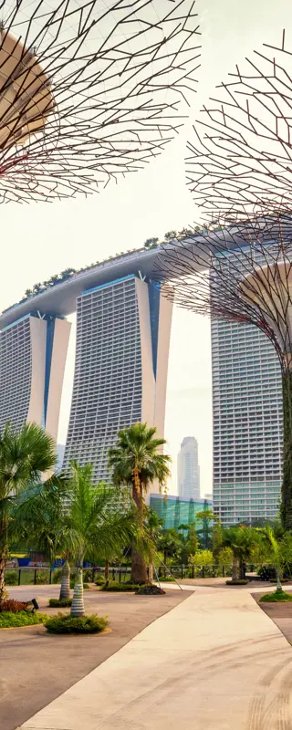 Meeting & Incentive trips